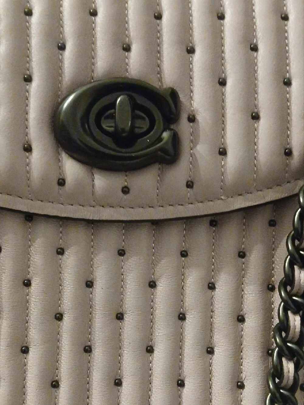 Coach stylish pale